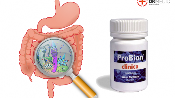 probionartykułjelito